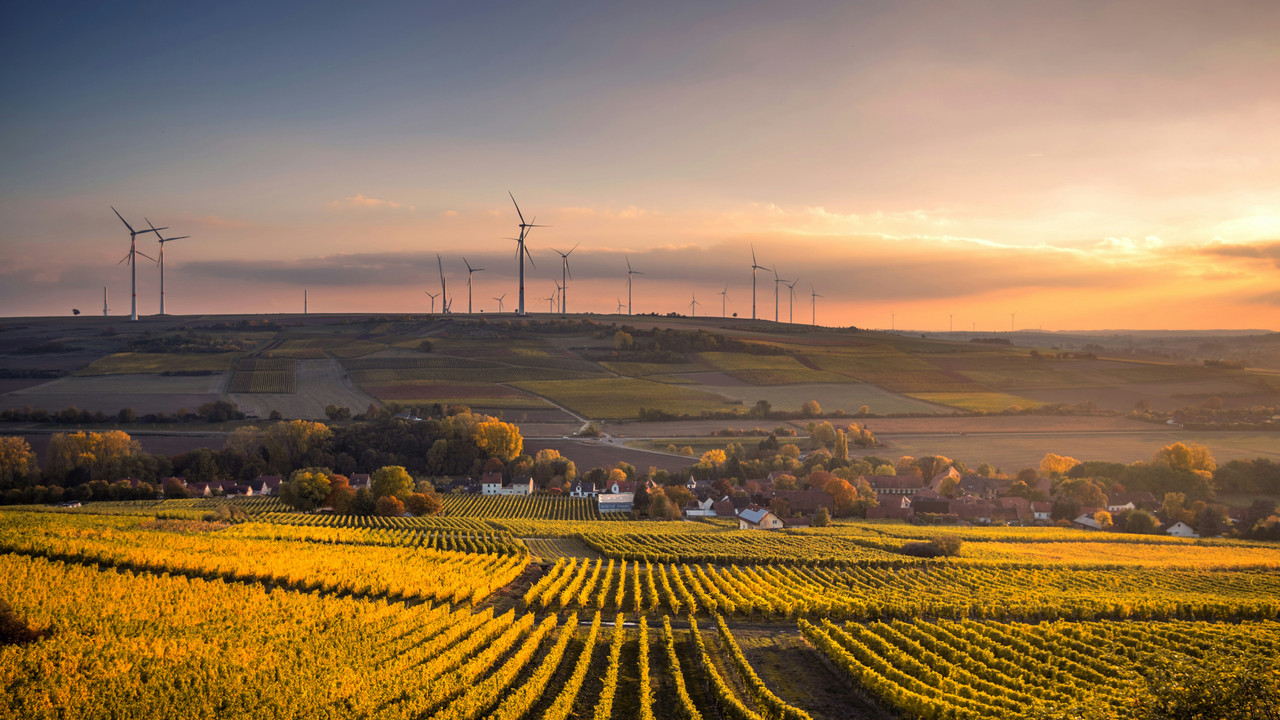 Dorf mit Weinfeldern und Windräder im Hintergrund