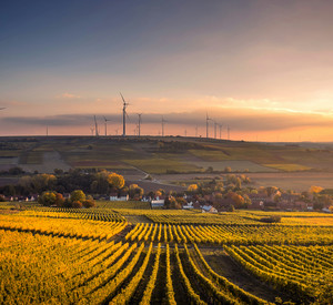 Dorf mit Weinfeldern und Windräder im Hintergrund